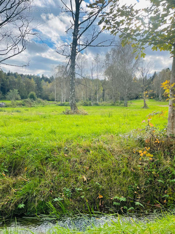 Terrain à SAULCY-SUR-MEURTHE