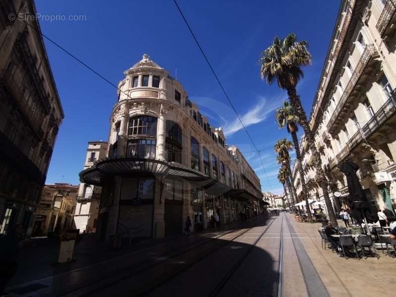 Commerce à MONTPELLIER