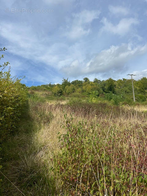 Terrain à FRENEUSE