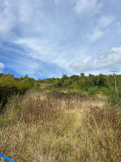 Terrain à FRENEUSE