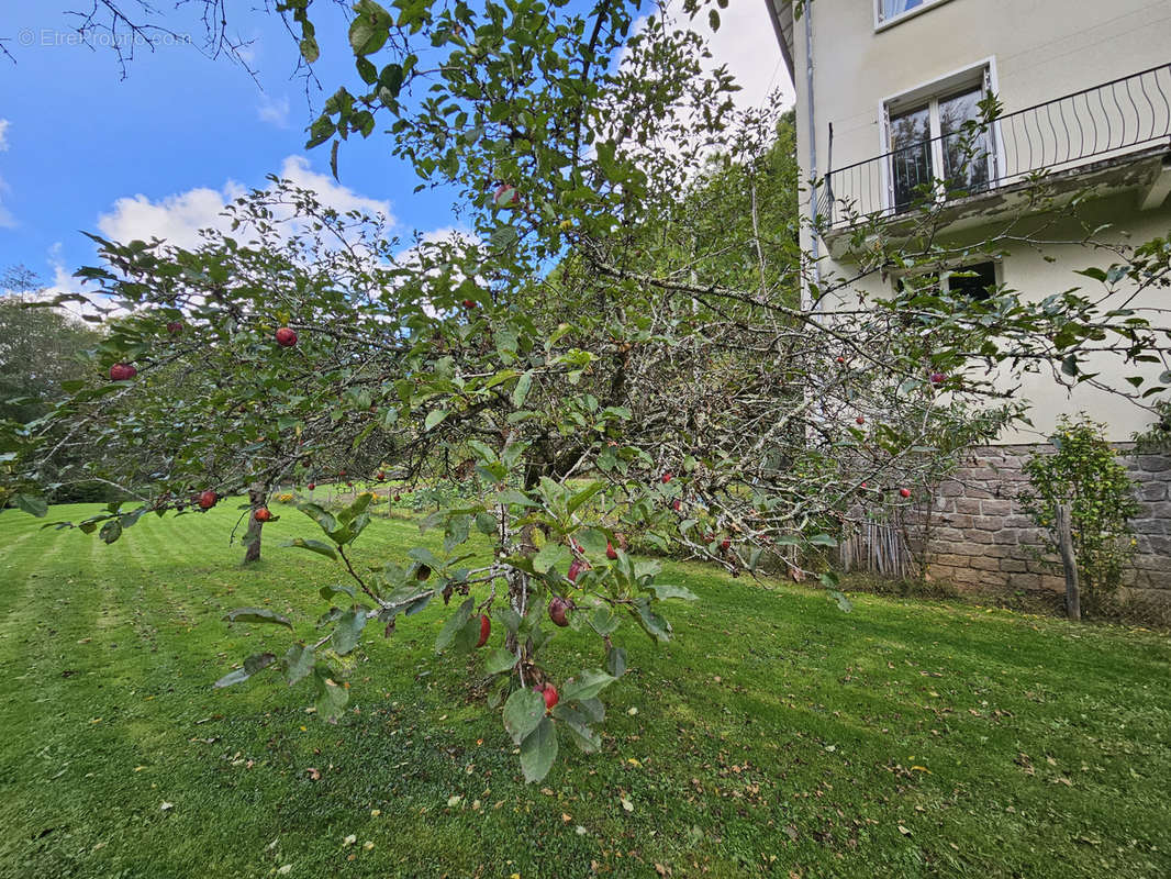 Maison à PIERRE-BUFFIERE