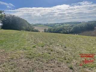 Terrain à BEAUVAIS-SUR-TESCOU