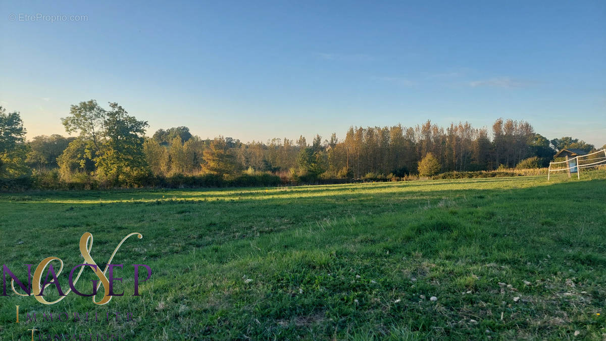 Terrain à SAINT-ETIENNE-DE-VICQ