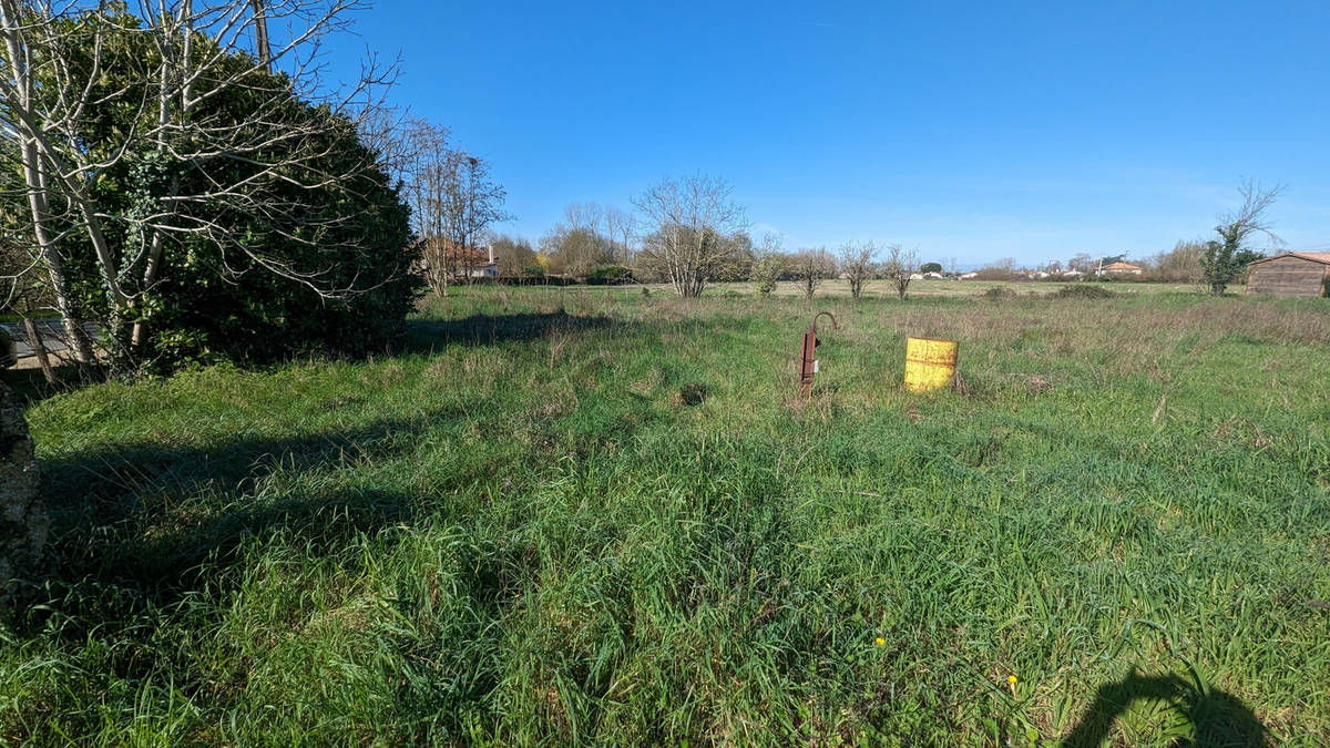 Terrain à COULON