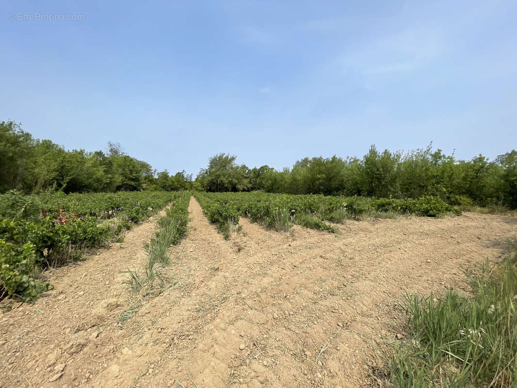 Terrain à SIGEAN