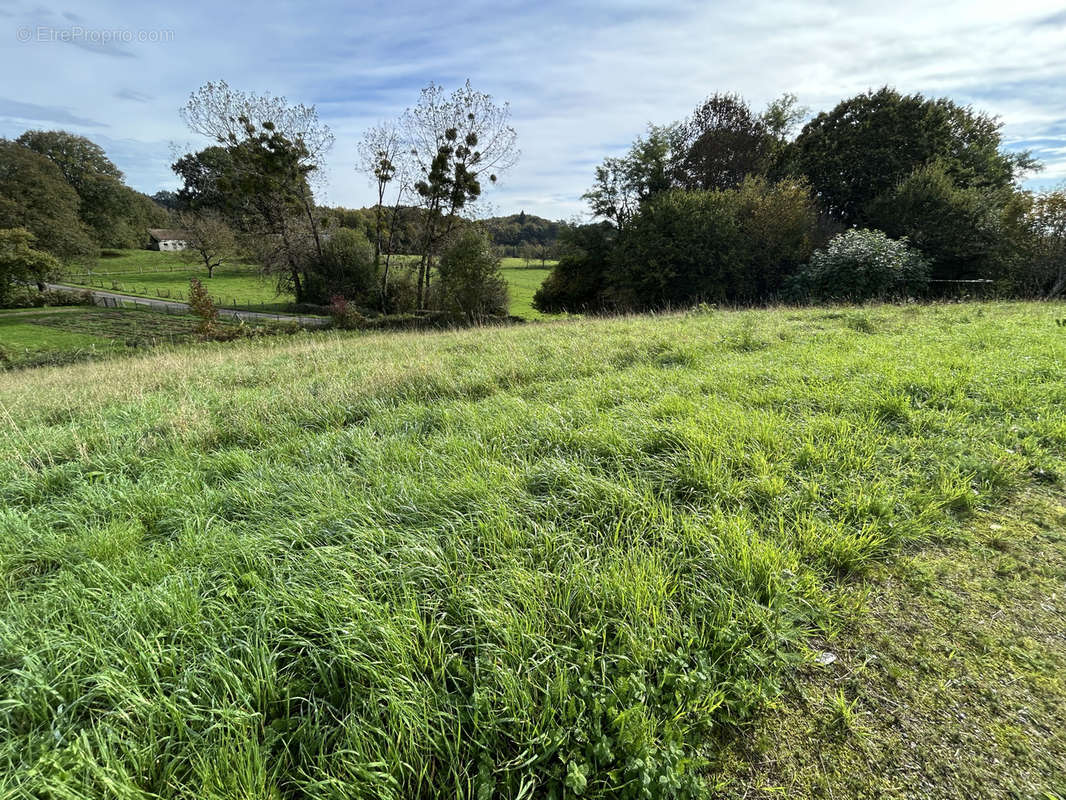 Terrain à LAGRAULIERE