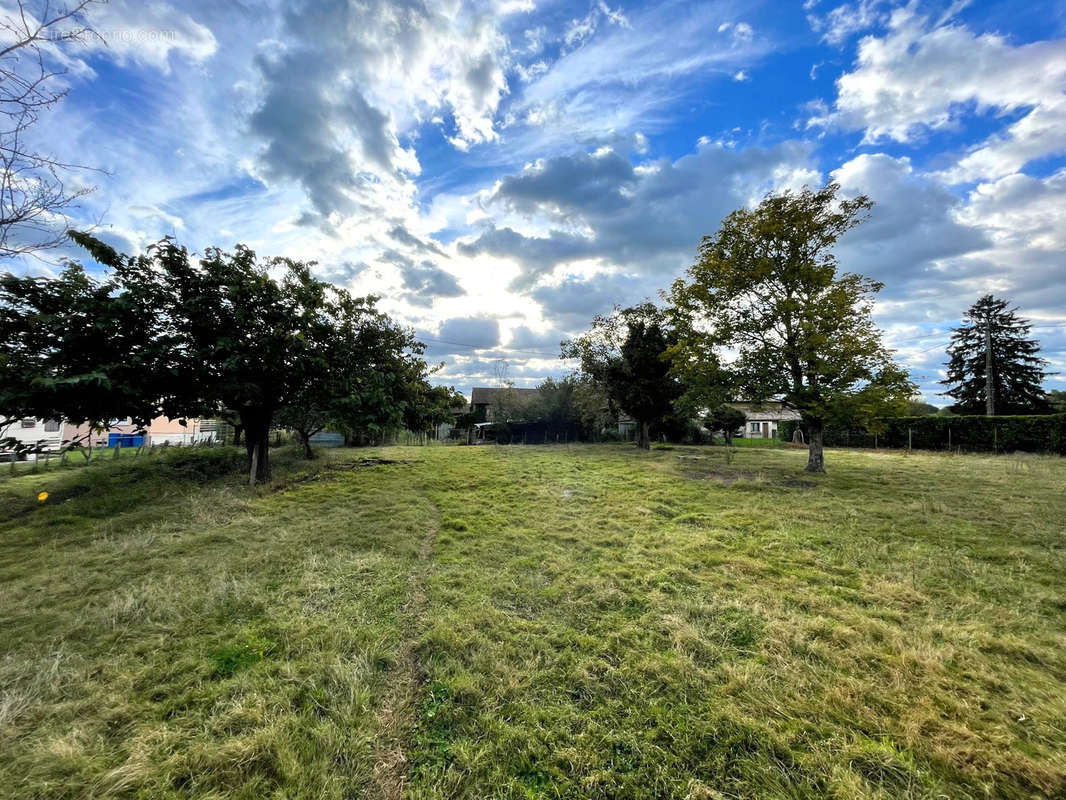 Terrain à REPLONGES