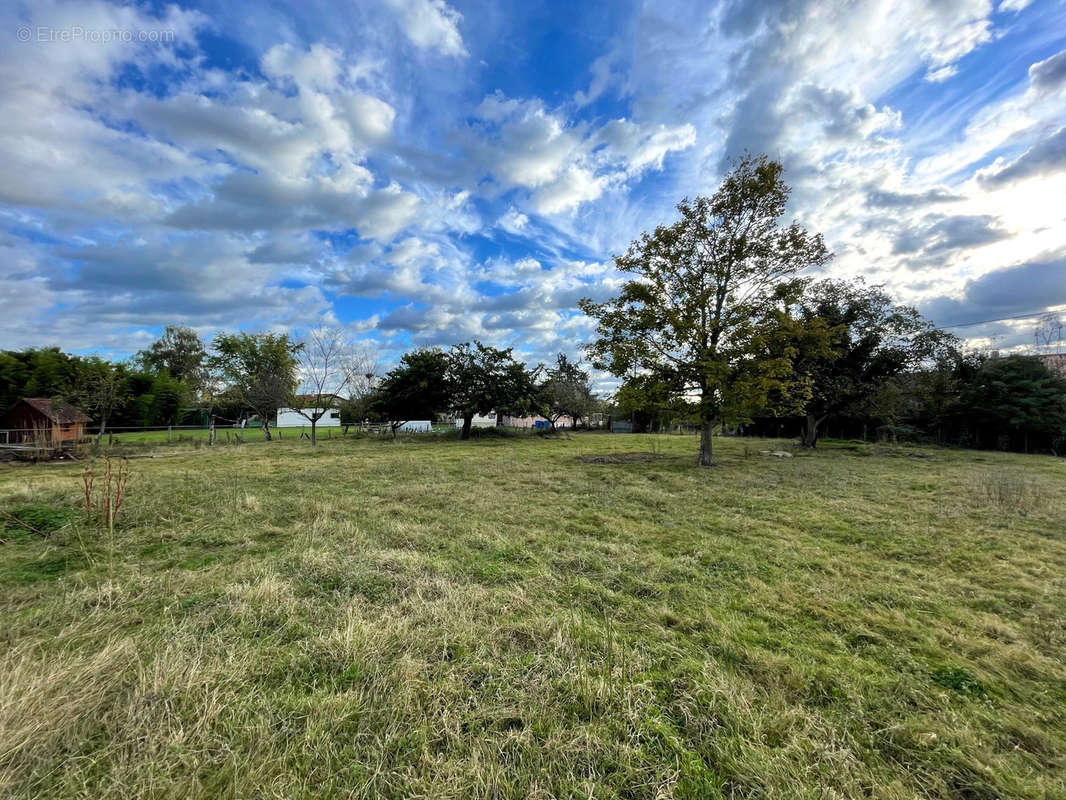 Terrain à REPLONGES