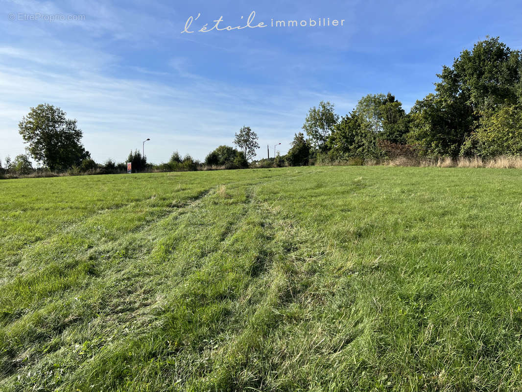 Terrain à TOUROUVRE