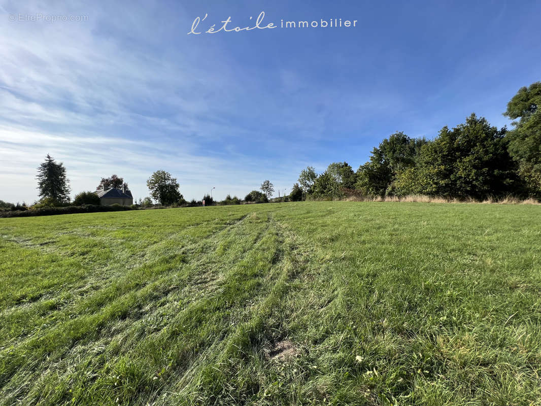 Terrain à TOUROUVRE