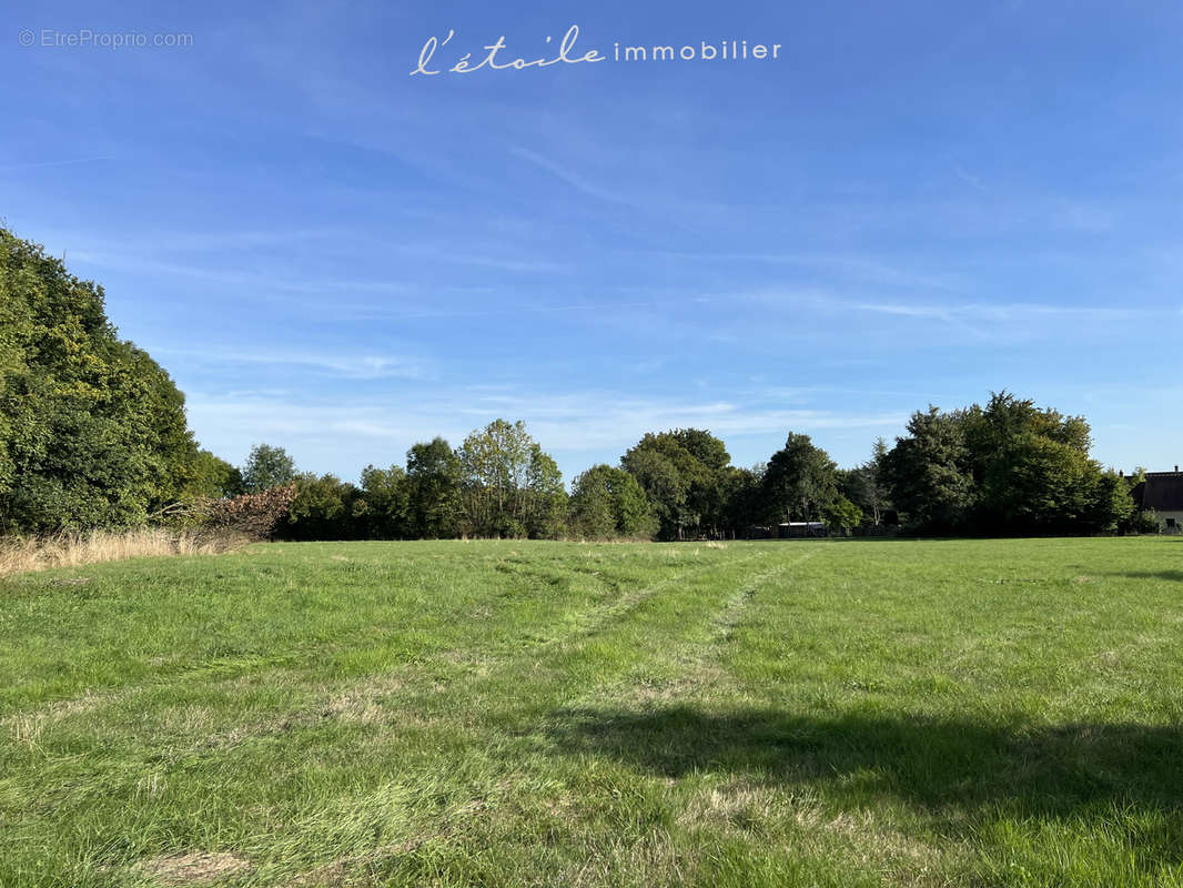 Terrain à TOUROUVRE