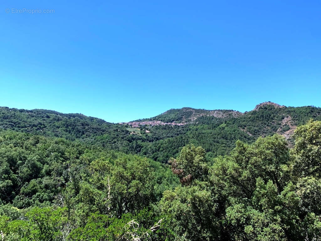 Maison à LA GARDE-FREINET