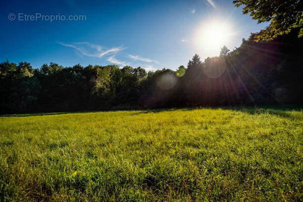 Terrain à THORIGNY-SUR-MARNE