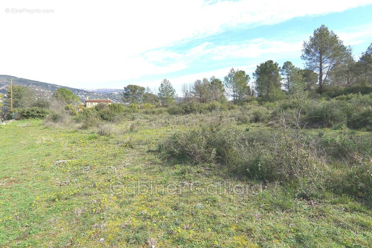 Terrain à LE TIGNET