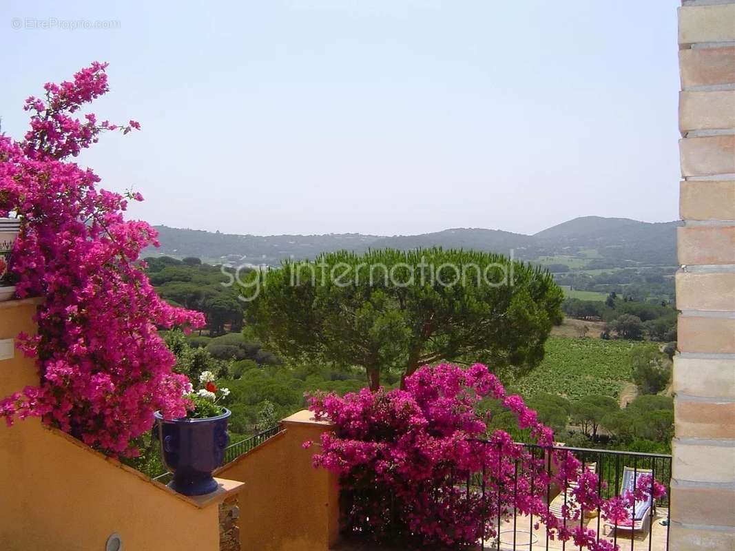 Maison à RAMATUELLE