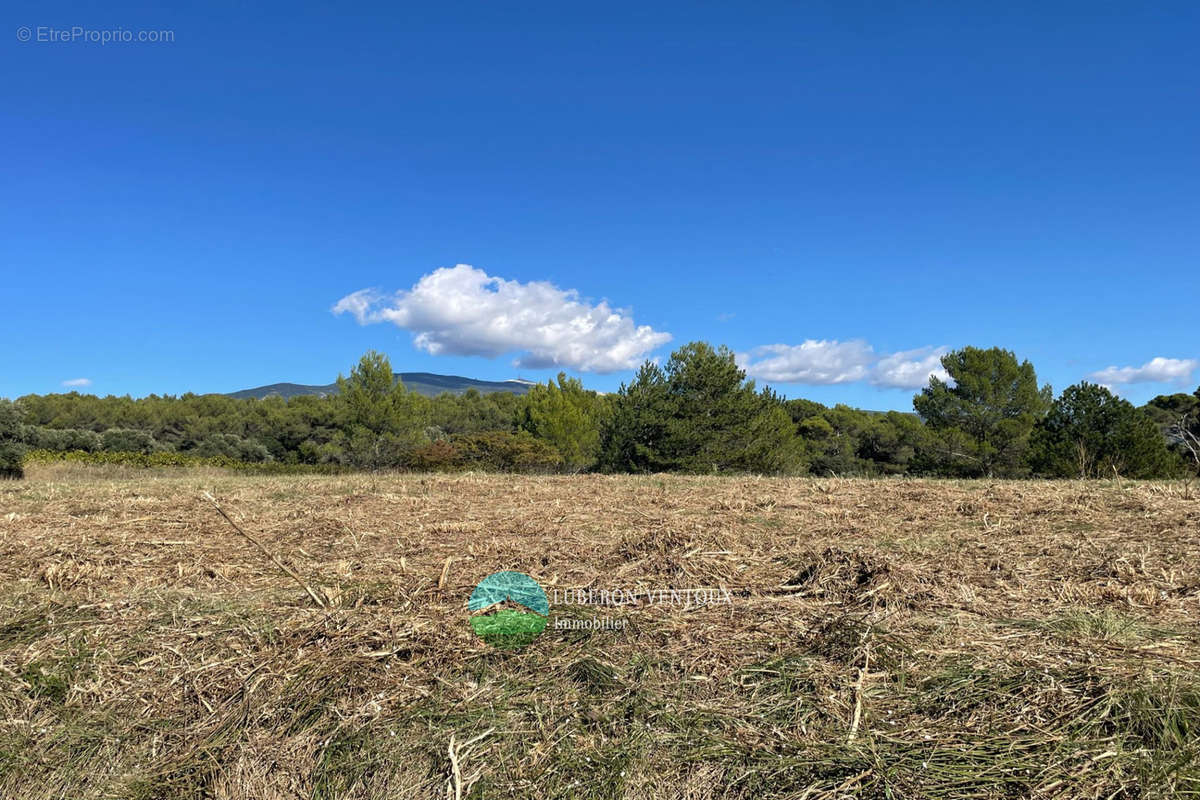 Terrain à CRILLON-LE-BRAVE