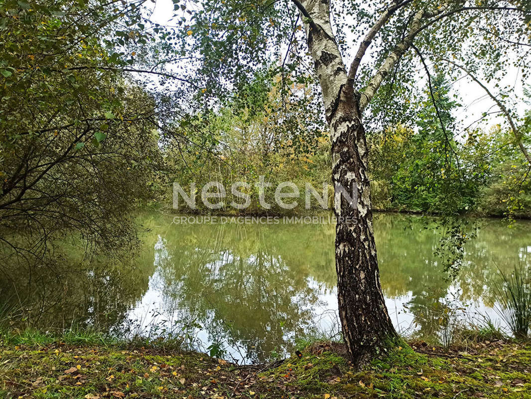 Terrain à CONTRES