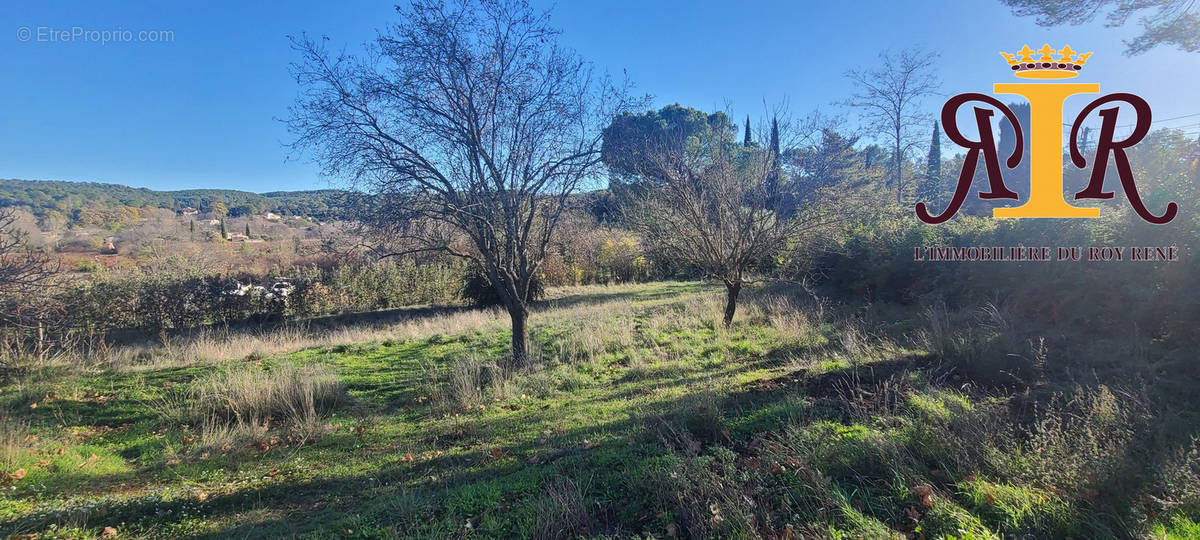 Terrain à CARCES