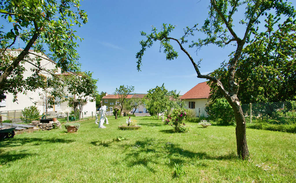 Terrain à TETERCHEN