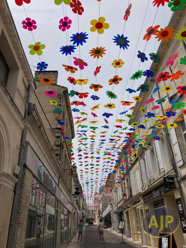 Commerce à PAUILLAC