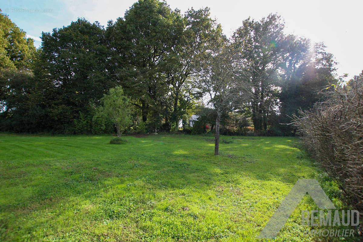 Terrain à MARTINET