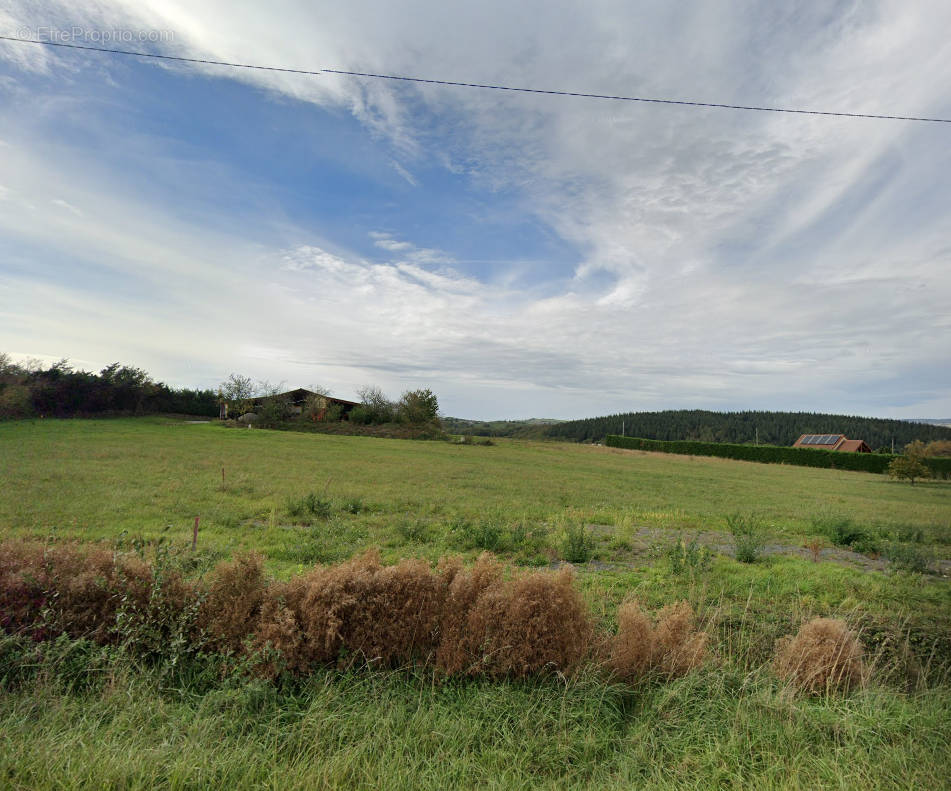 Terrain à SAINT-QUINTIN-SUR-SIOULE