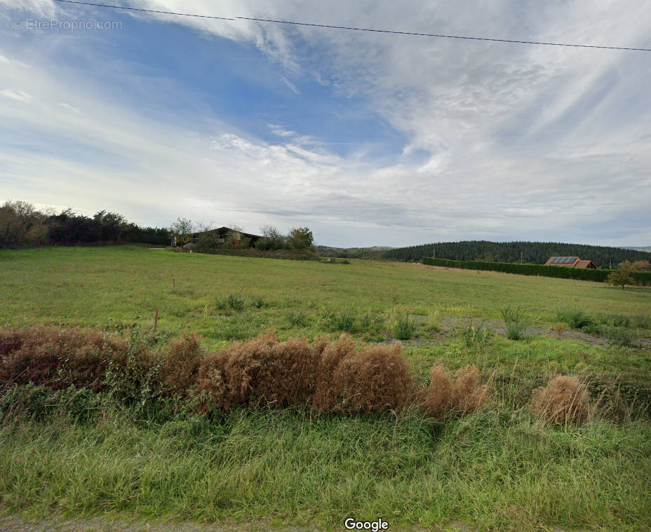 Terrain à SAINT-QUINTIN-SUR-SIOULE