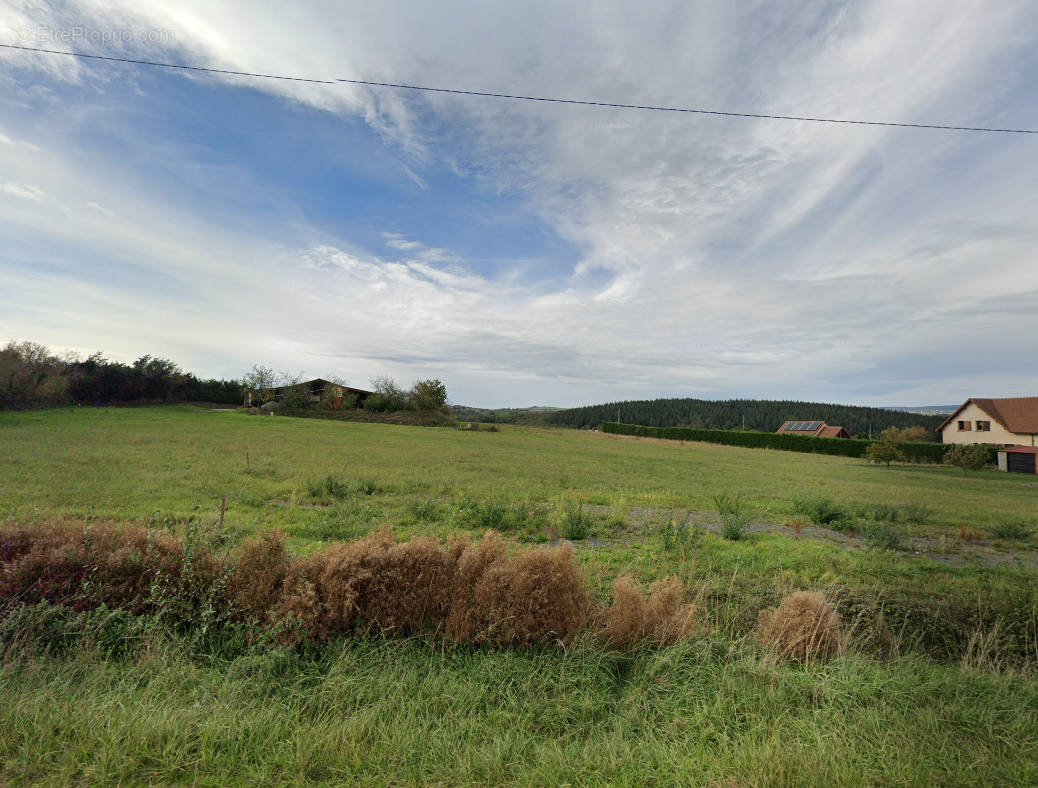 Terrain à SAINT-QUINTIN-SUR-SIOULE