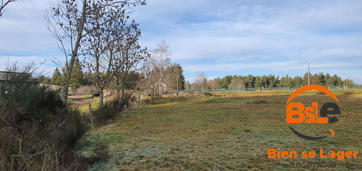 BSLE ST Chély d&#039;apcher TERAIN CONSTRUCTIBLE  - Terrain à SAINT-ALBAN-SUR-LIMAGNOLE