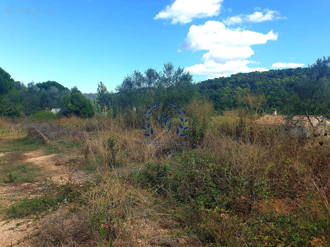 Terrain à VINS-SUR-CARAMY