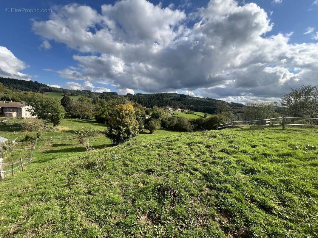 Terrain à POULE-LES-ECHARMEAUX