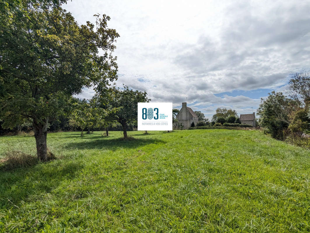 vue du verger sur la propriété - Maison à OSMANVILLE