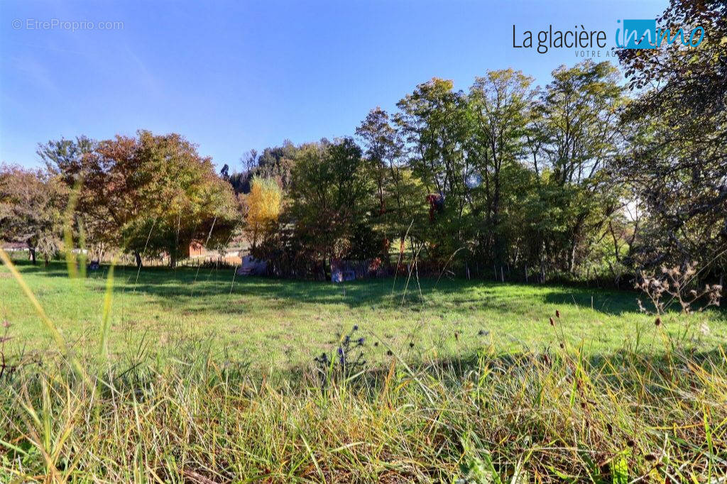 Terrain à MONTAIGUT-LE-BLANC