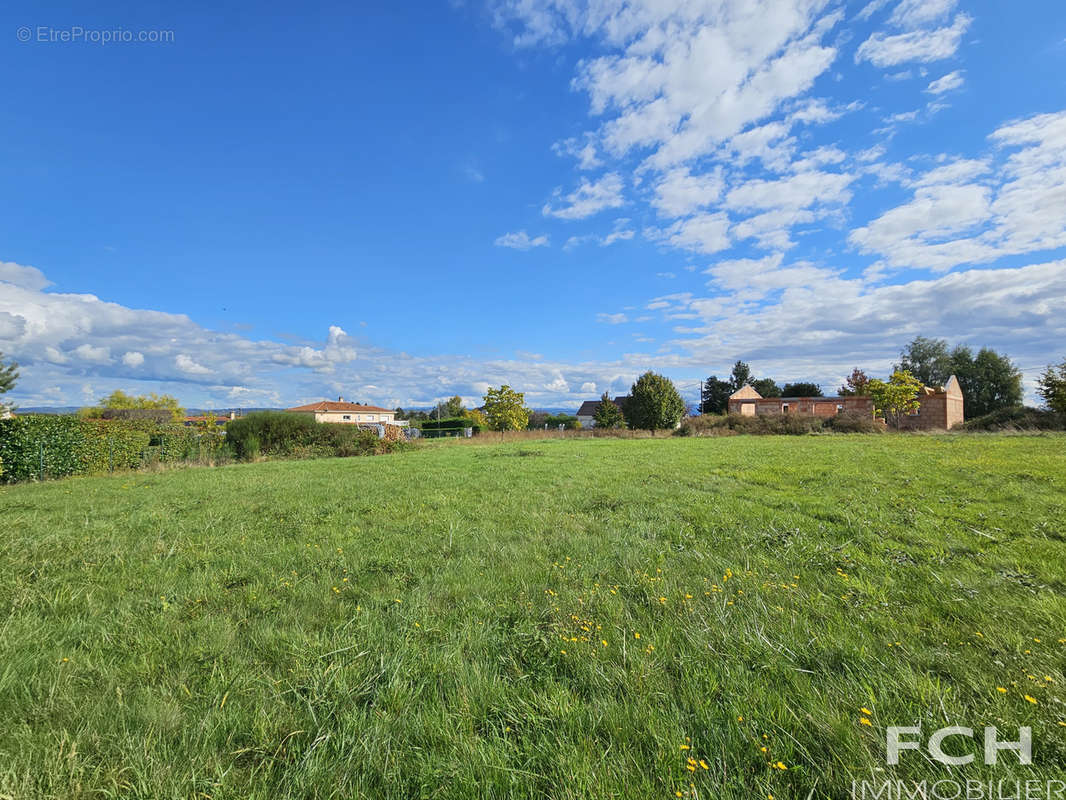 Terrain à SERBANNES