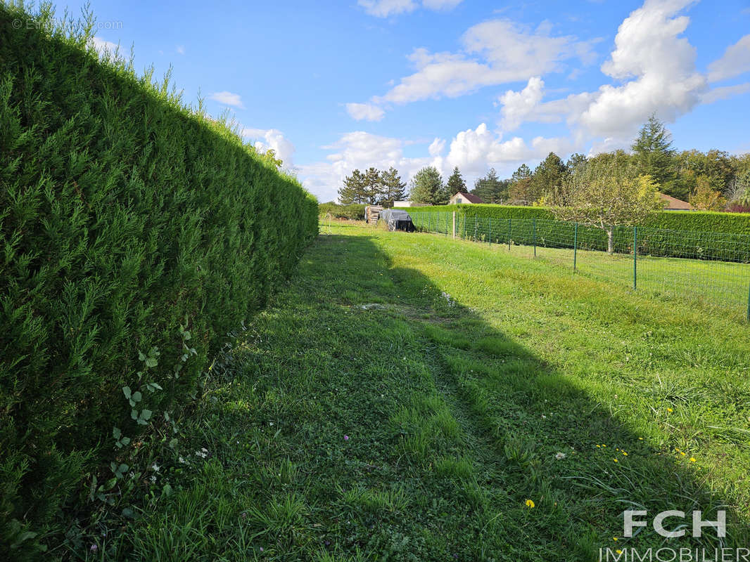 Terrain à SERBANNES