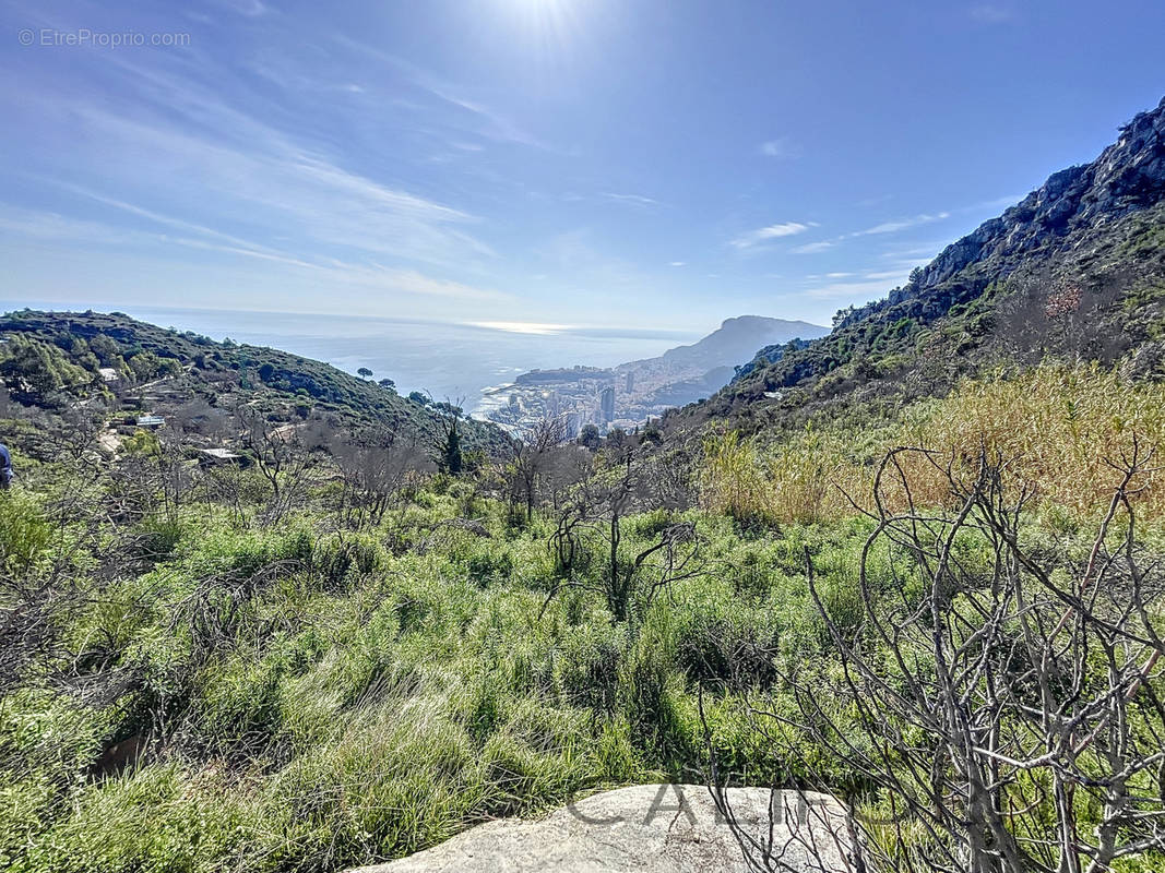 Terrain à ROQUEBRUNE-CAP-MARTIN