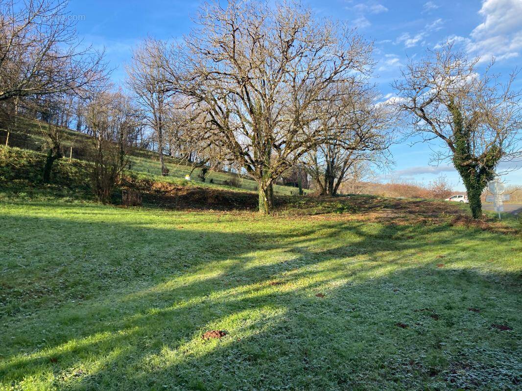 Terrain à MARCILLAC-VALLON