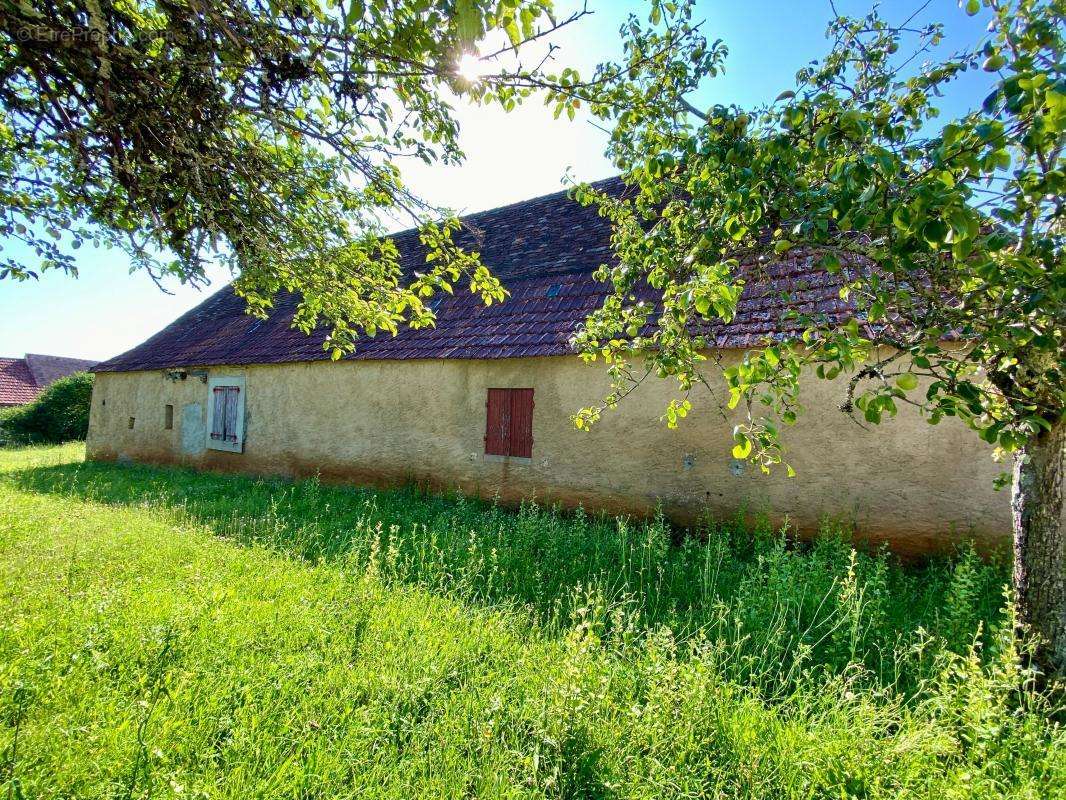 Maison à SAINTE-ALVERE