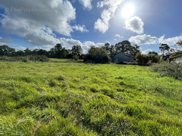 Terrain à QUESSOY