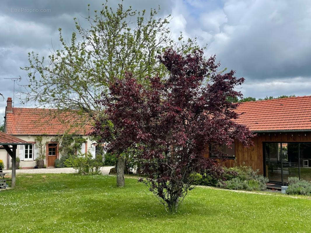 Maison à VARENNES-CHANGY