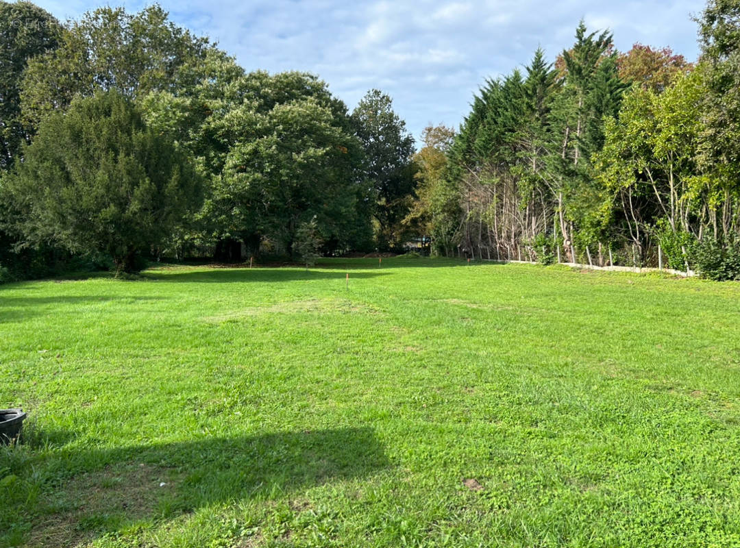 Terrain à ANTONNE-ET-TRIGONANT