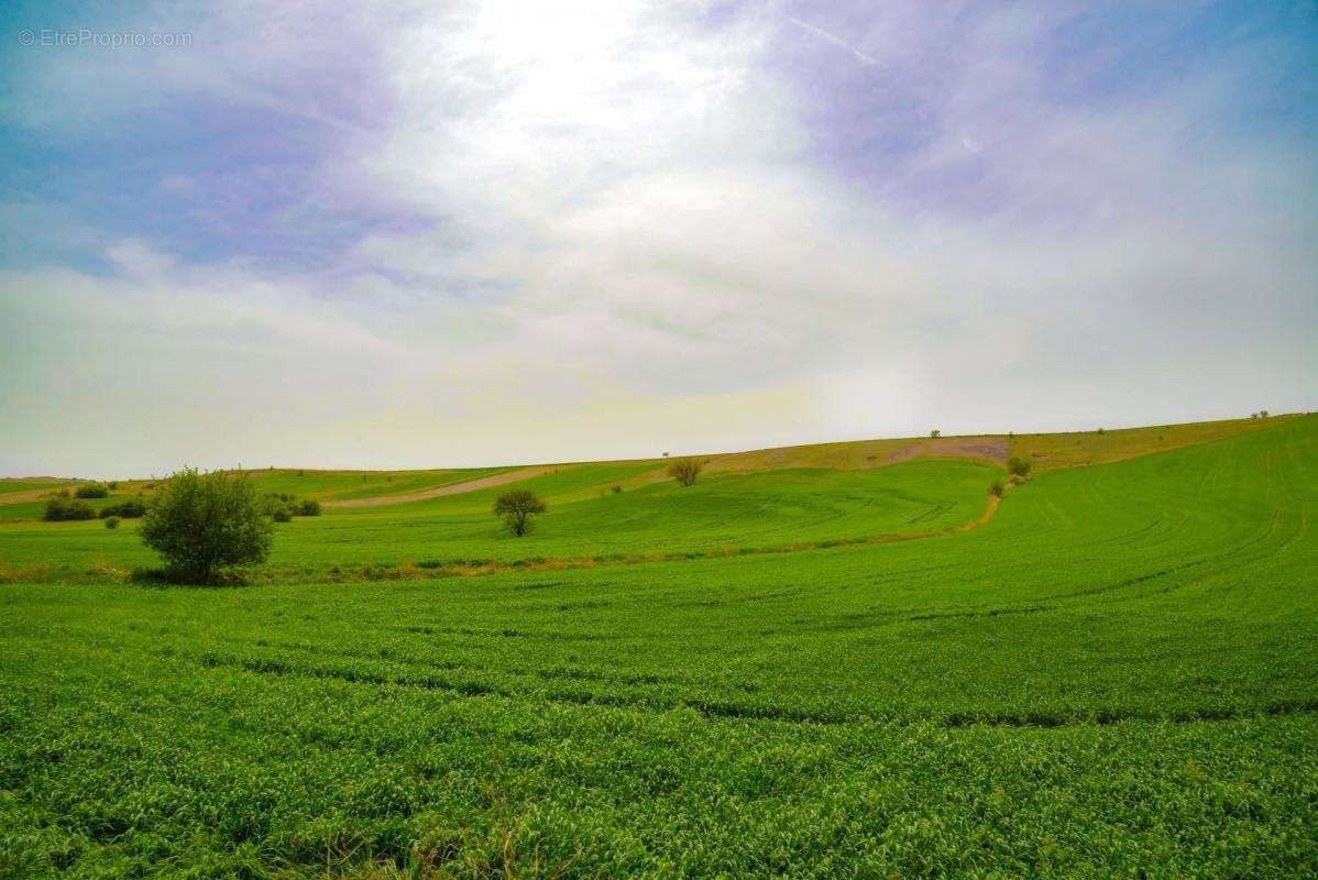 Terrain à GENELARD