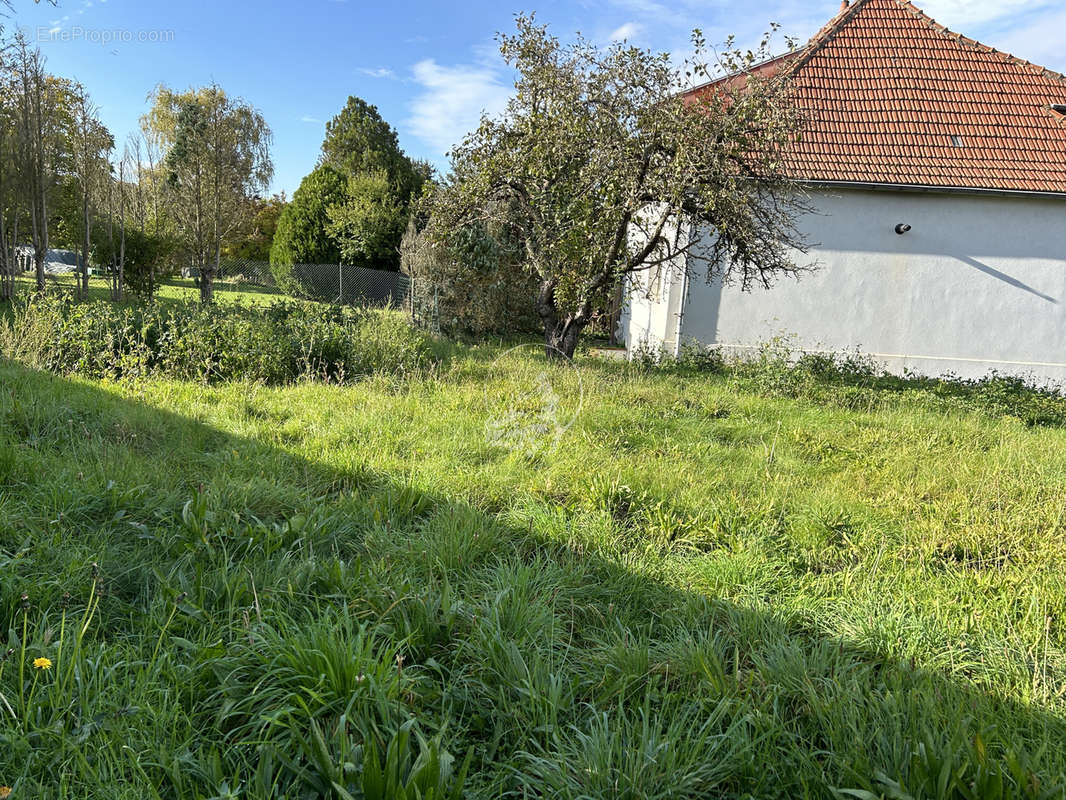 Maison à LONGEVILLE-LES-SAINT-AVOLD