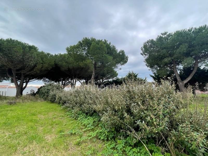 Terrain à LE BOIS-PLAGE-EN-RE