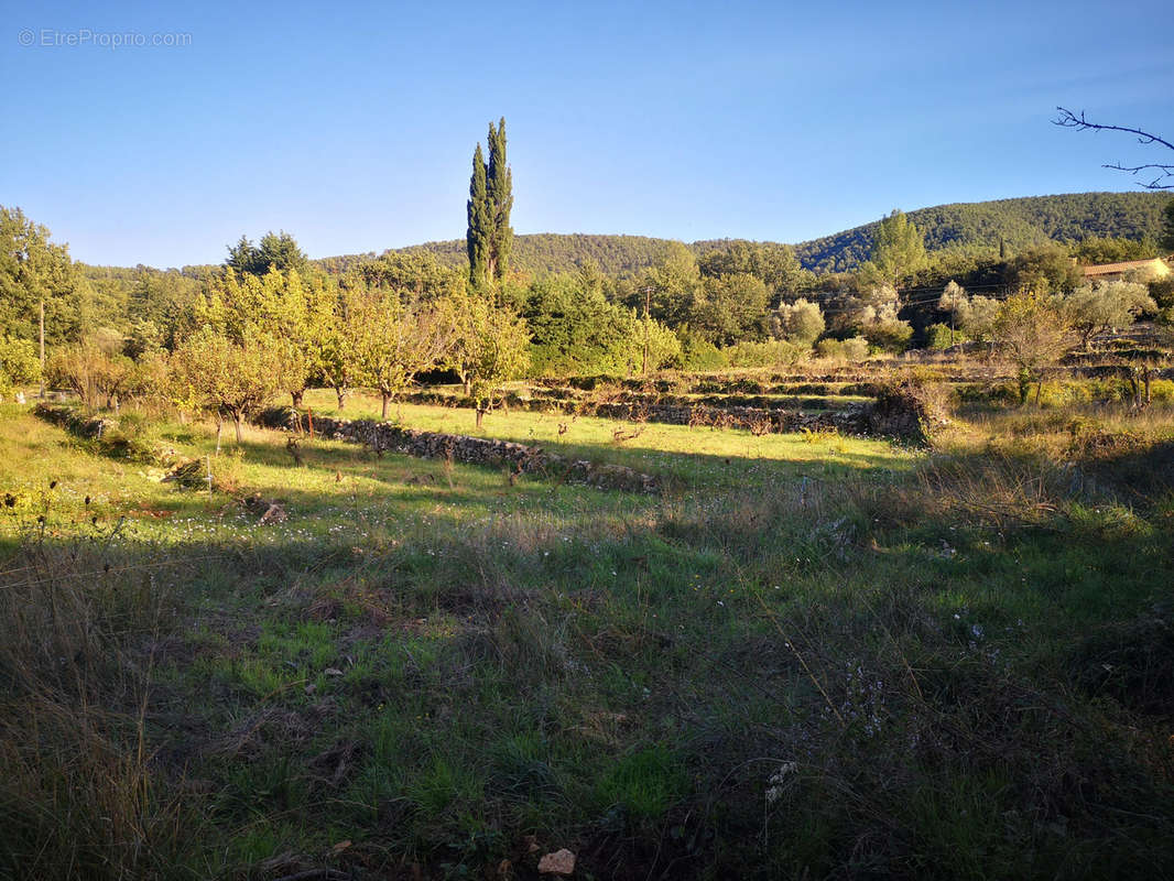 Maison à SOLLIES-TOUCAS