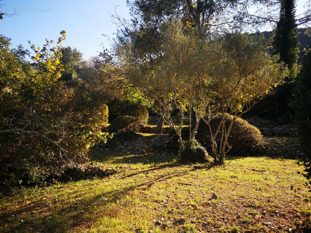 Maison à SOLLIES-TOUCAS