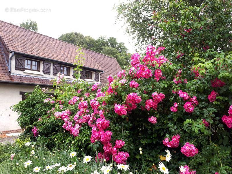 Maison à CANLERS