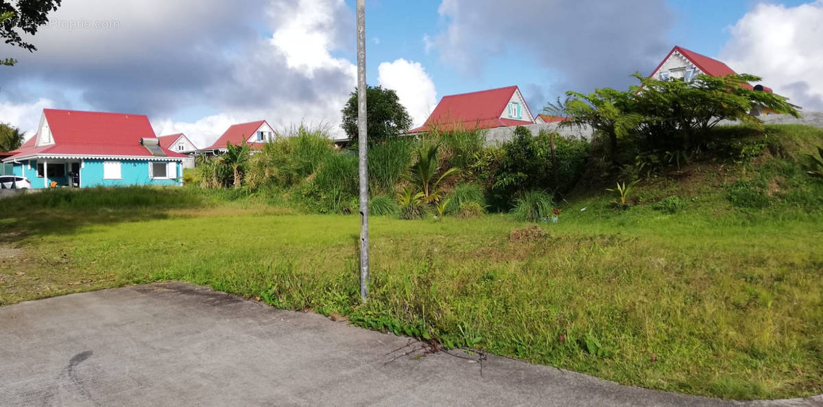 Terrain à LE MORNE-ROUGE