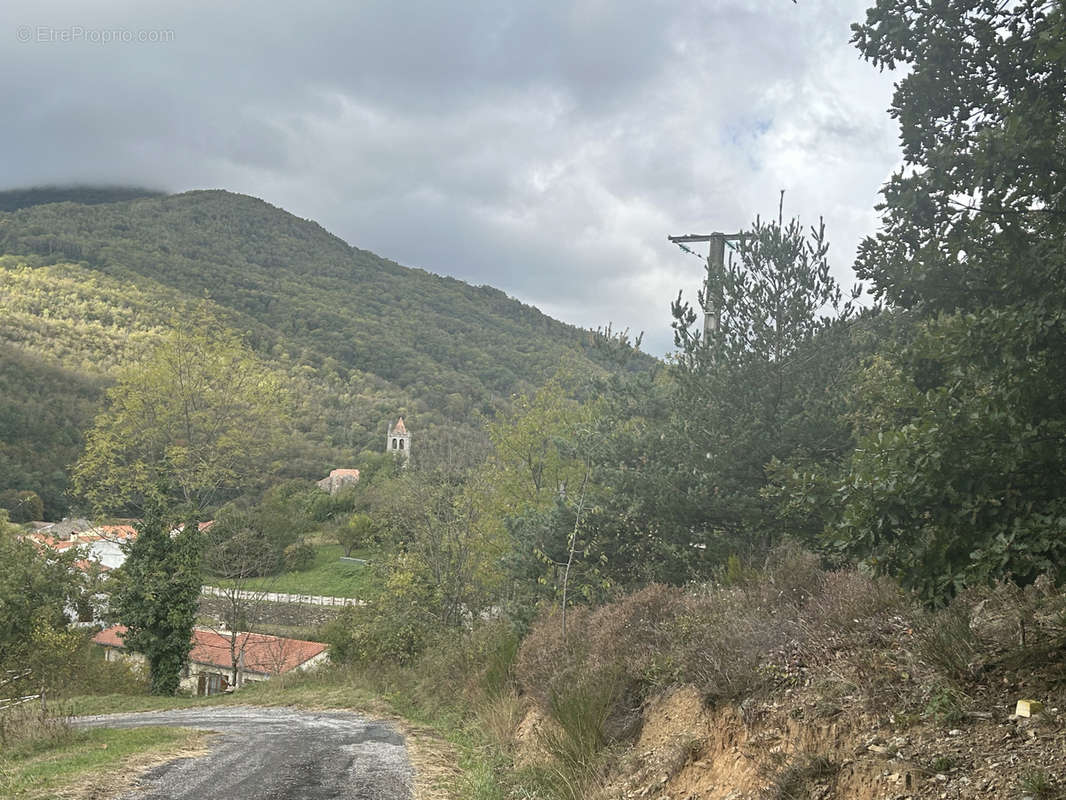 Terrain à PRATS-DE-MOLLO-LA-PRESTE