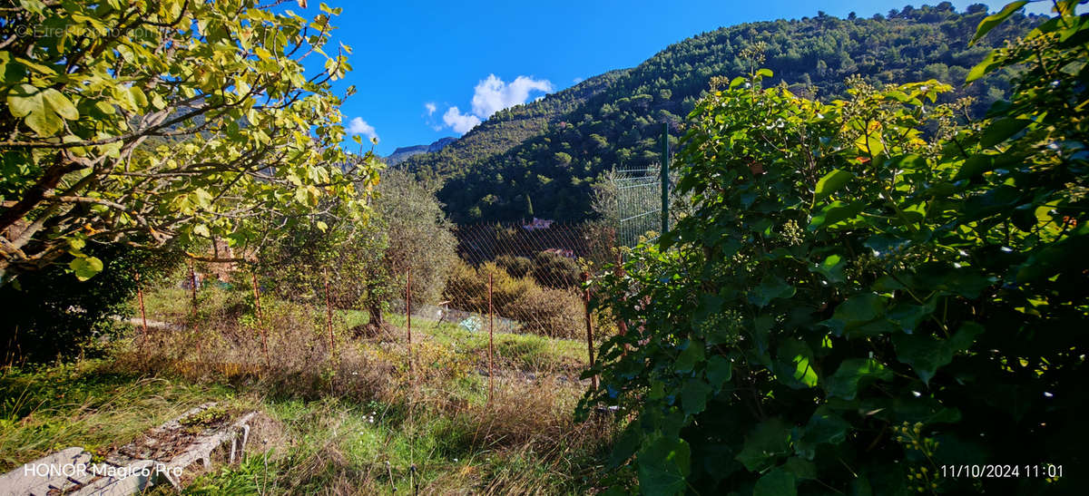 Terrain à L&#039;ESCARENE